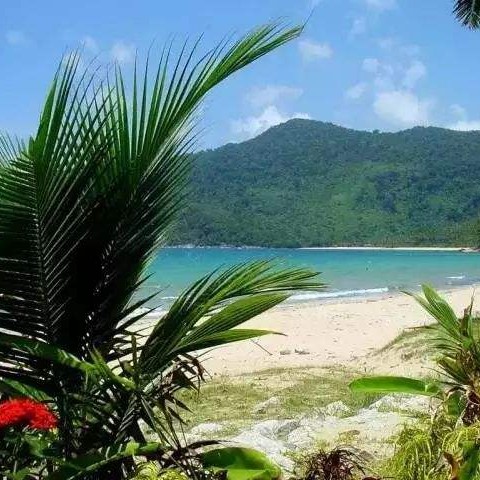 nianjiong.vn