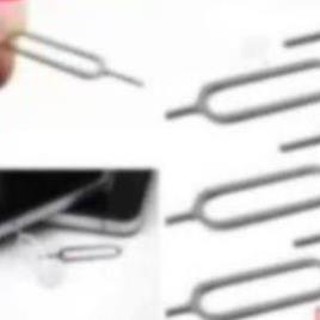 Que Chọc sim sim từ bé tới lớn