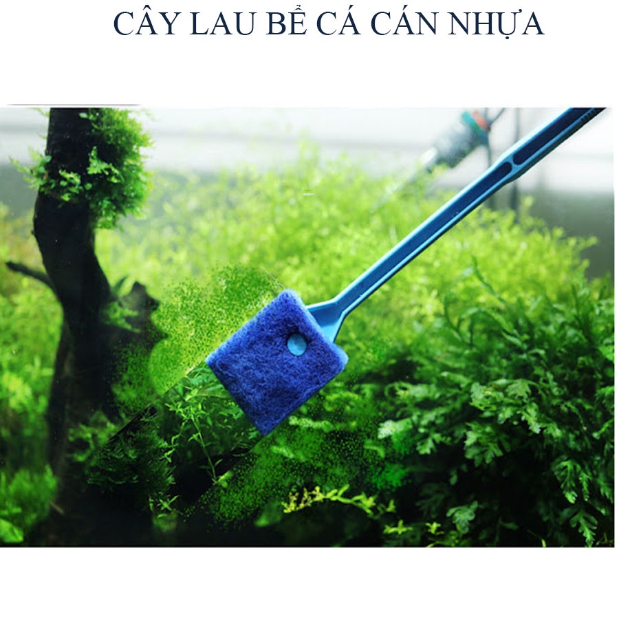 Cây lau kính vệ sinh chà bể hồ cá thủy sinh - Cây chùi hồ thủy sinh hồ cá - Cán nhựa dài 40 cm