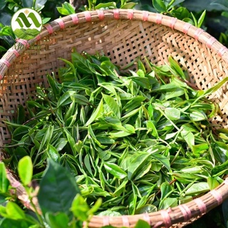 Trà Thái Nguyên 1 kg