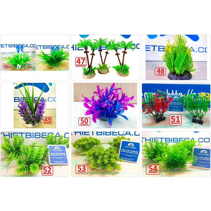 Tặng Thêm 1 Cây Nhựa Thấp Khi Mua Combo 5 Cây Nhựa Thấp Trang Trí Bể Cá