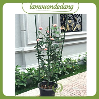 TỨ GIÁC - KHUNG TRỒNG CÂY Dùng để đỡ cây, giữ không cho cây đổ ngã, giúp cây hoa đứng vững không bị nghiêng gãy đổ cây