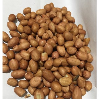 1 kg hạt lạc trắng hạt đỗ lạc trắng