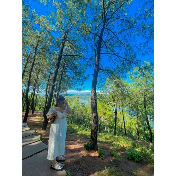 Bigsize siêu phẩm, hót hít , đầm bigsize , đầm dự tiệc