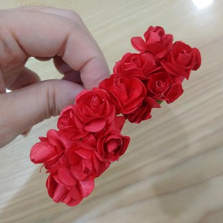 HOA GIẤY CÀI 10K