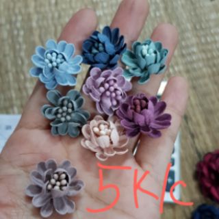 hoa cúc lớn và nhỏ