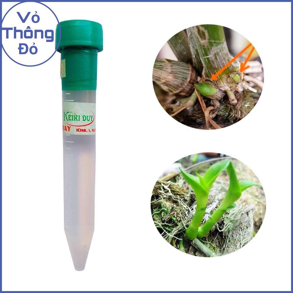 Kích Kie duy xanh 15ml