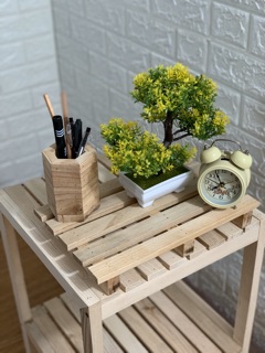 Kệ gỗ PALLET trang trí / size M