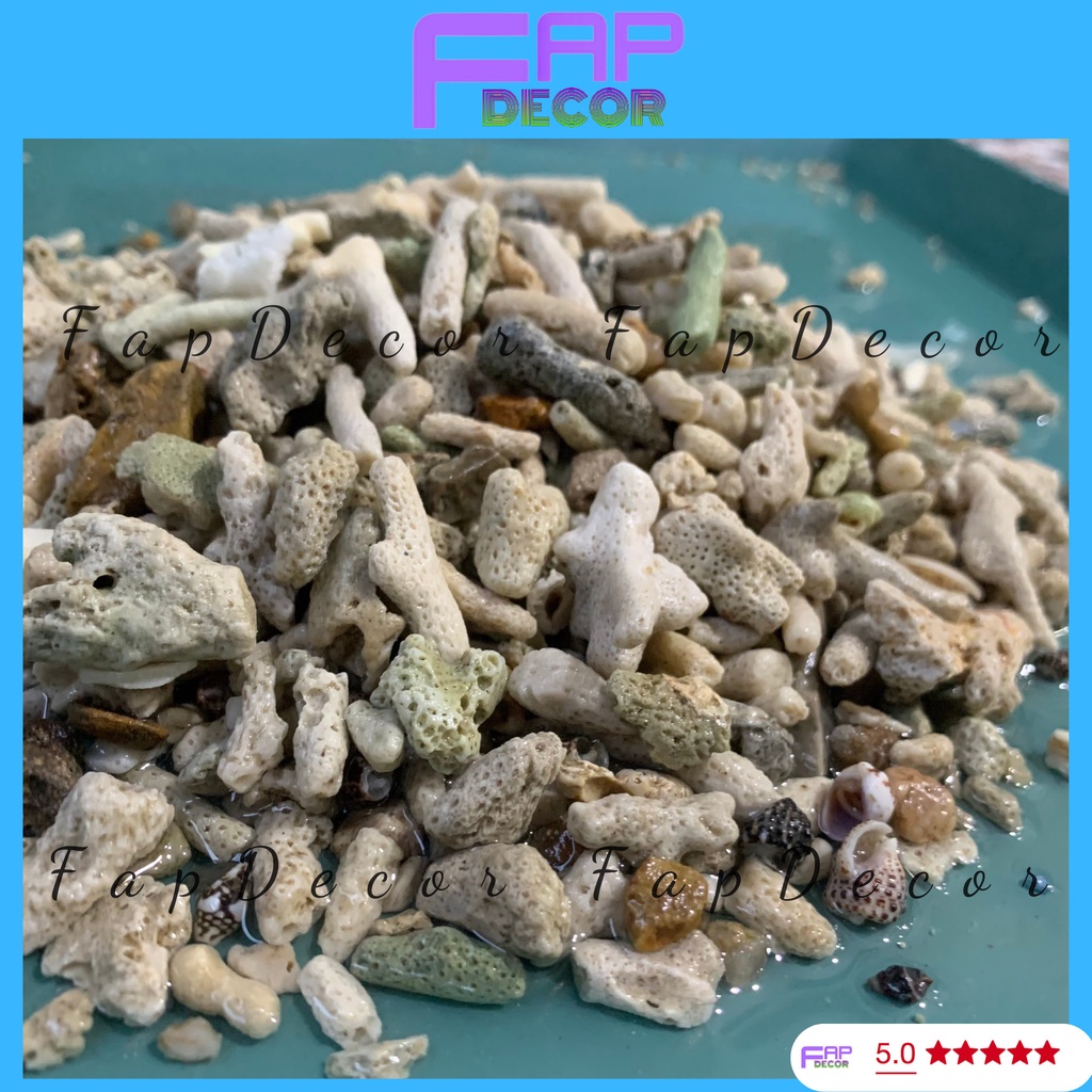 1000GR SAN HÔ VỤN LỌC NƯỚC TĂNG PH TRONG NƯỚC, TRANG TRÍ, TIỂU CẢNH, LÓT NỀN - FAPDECOR