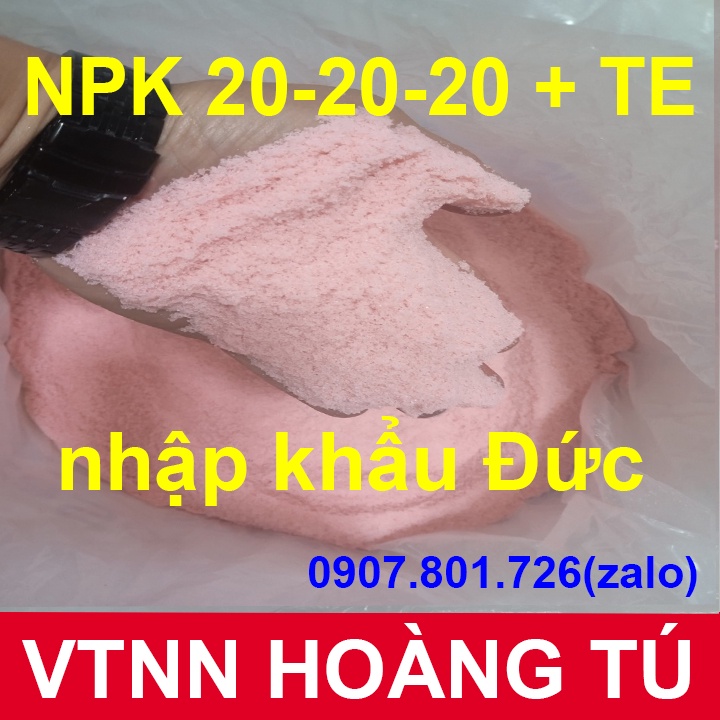 PHÂN BÓN LÁ 20-20-20 DELTA SOL - NHẬP KHẨU ĐỨC - gói 1 kg