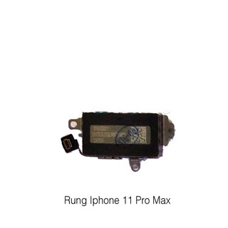 RUNG IP 11 PRO MAX (ZIN MÁY)