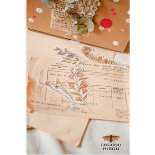 STICKER CỎ DẠI GIẤY MATTE- bộ sticker 60 miếng