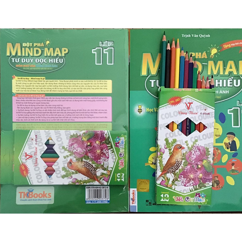 sách  - Đột Phá Mindmap - Tư Duy Đọc Hiểu Môn Ngữ Văn Bằng Hình Ảnh Lớp 11 (tặng kèm 1 hộp bút màu)