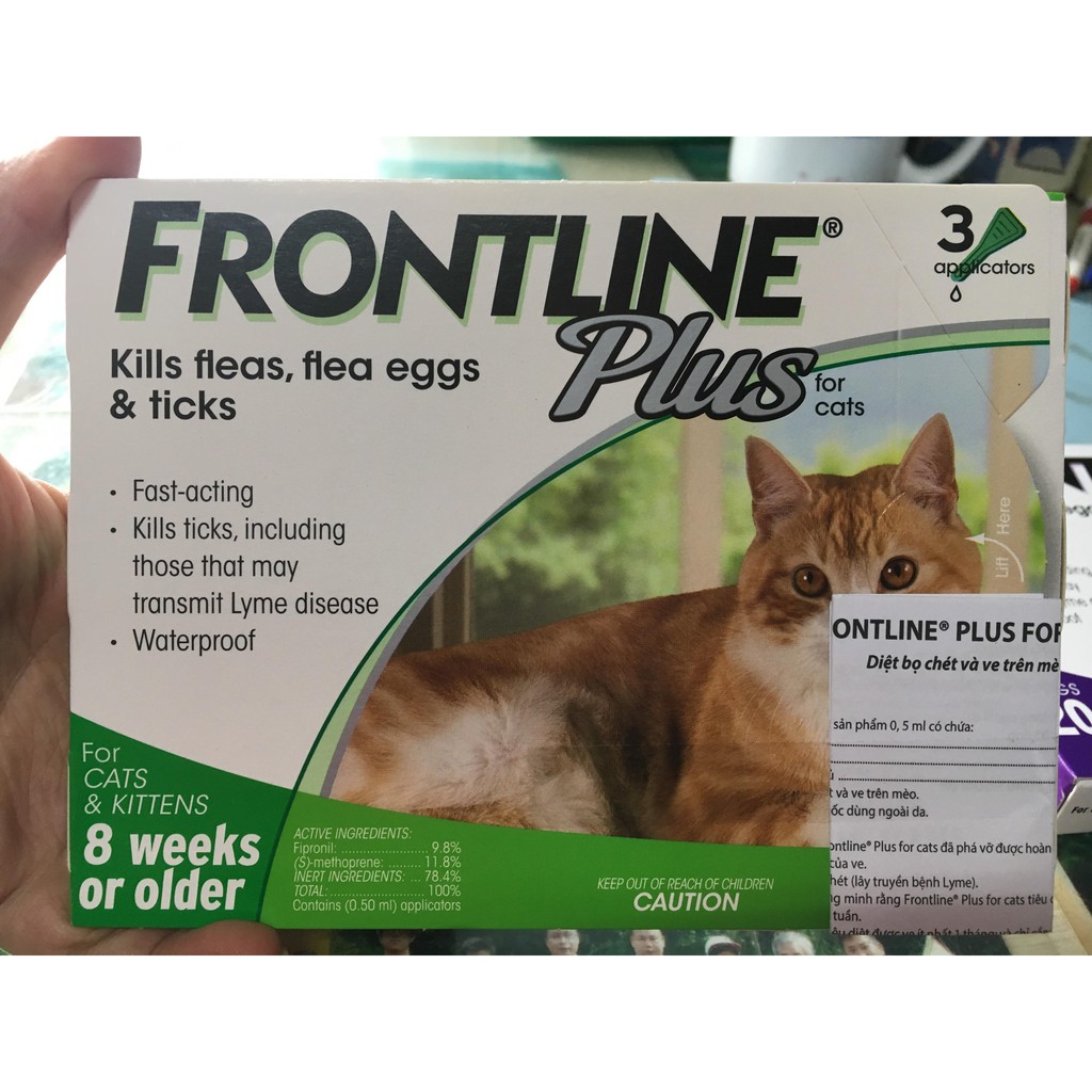 Nhỏ gáy trị ve giận Frontline mèo từ 8 tuần tuổi