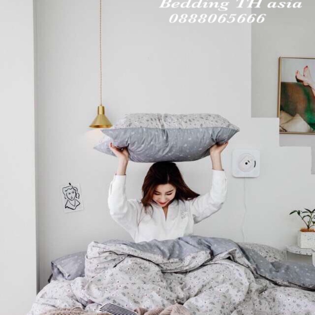 bộ chăn ga gối cotton 4 món