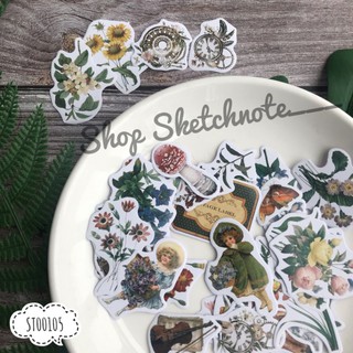 sticker ảnh - set 50 chiếc (001)