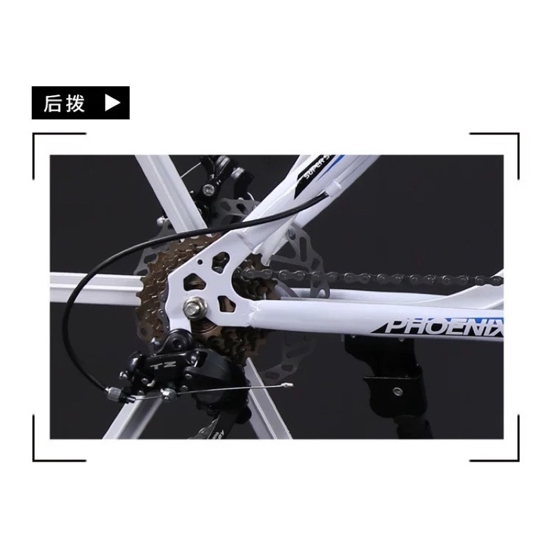 Xe đạp PHOENIX phượng hoàng lửa size 26 khung thép, khung nhôm
