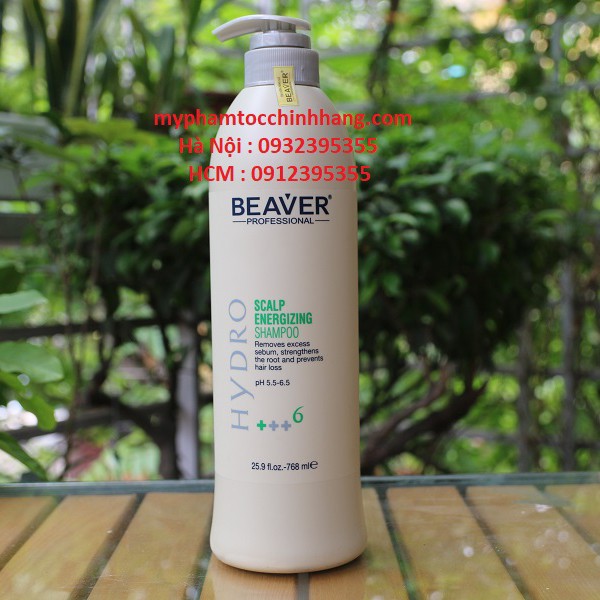 DẦU GỘI CHĂM SÓC ĐẦU BEAVER 768ML