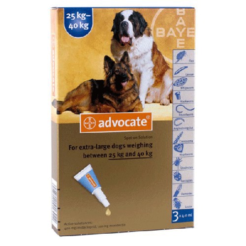 Advocate 25-40KG Thuốc nhỏ gáy trị ve rận, ghẻ, giun sán cho chó / cún