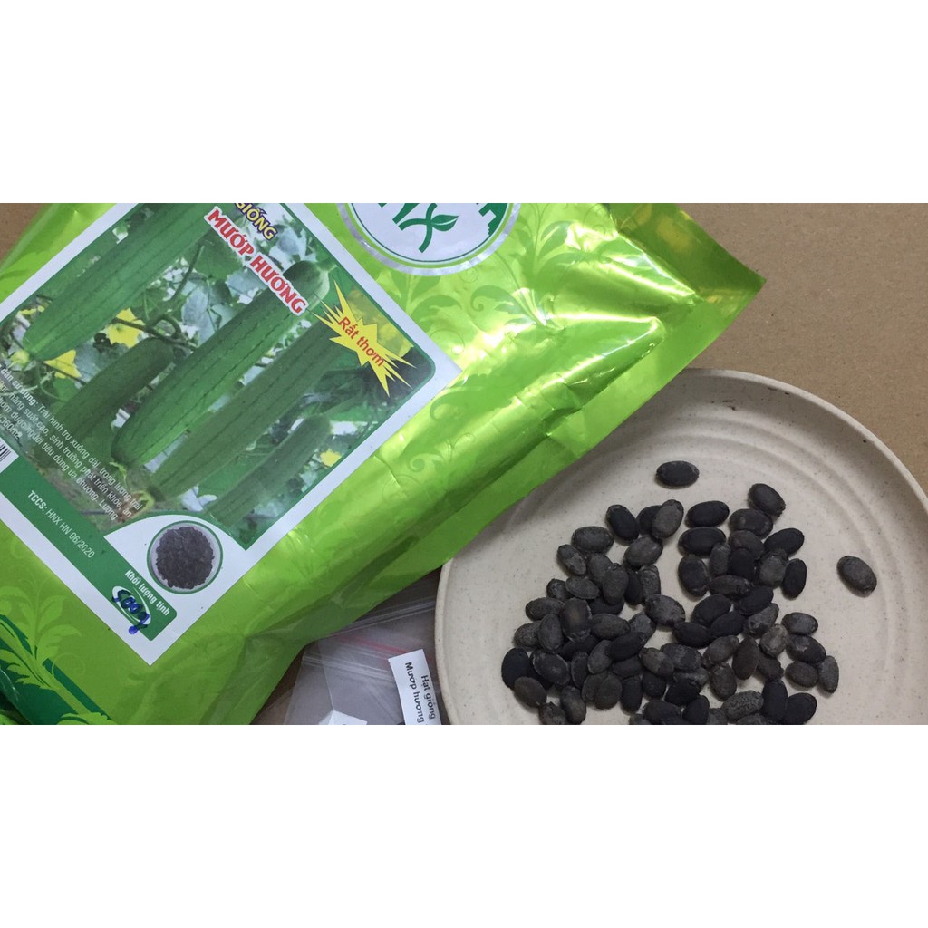 1KG Hạt giống mướp hương Việt Nam siêu thơm