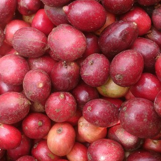 Cà Phê Đức Anh Robusta + Arabica