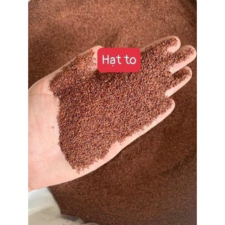 500gr hạt ngũ hoa siêu sạch đắp mặt trắng da hết mụn