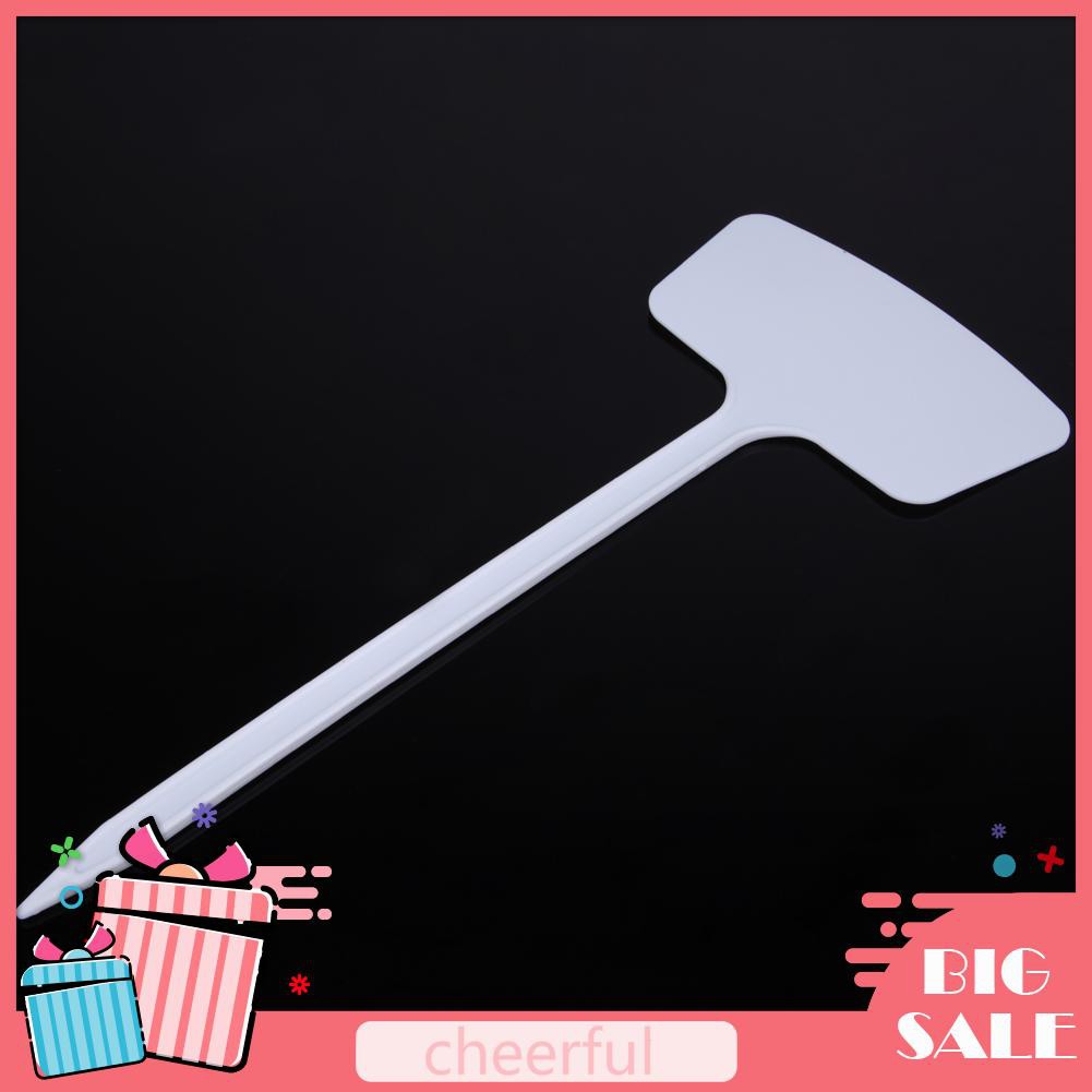 Set 10 Que Đánh Dấu Chậu Hoa