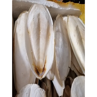 Mai mực nang mực 100 gam.