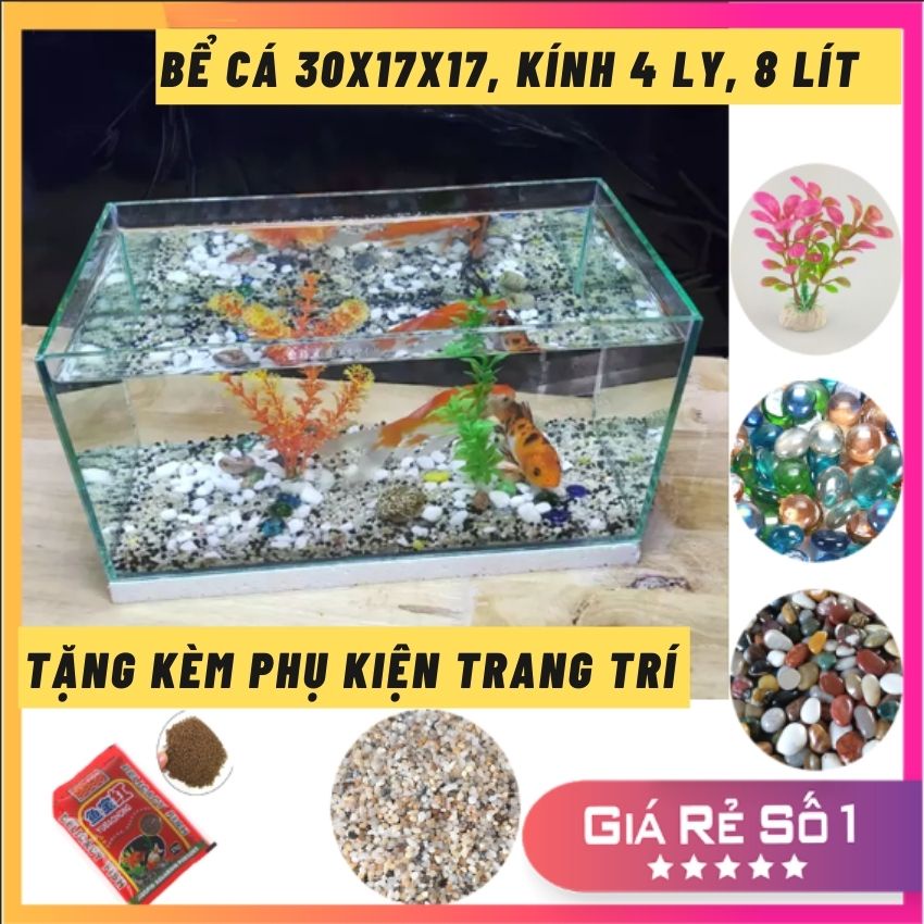 [Mã PET50 giảm 10% - tối đa 50K đơn 250K] Bể cá mini[ 30x17x17], hồ cá mini nuôi cá cảnh để bàn-Tặng Phụ kiện trang trí