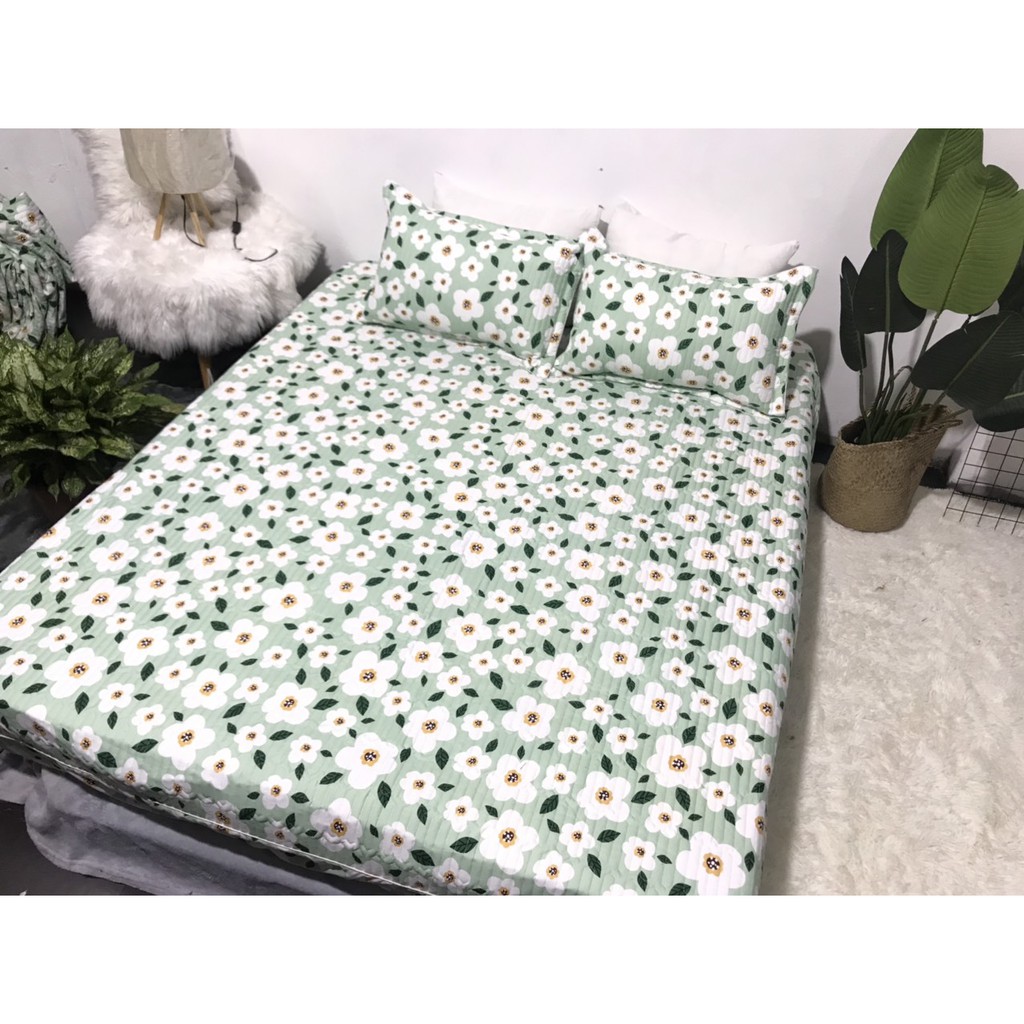 Bộ Ga Cotton Trần Hoa Nhí Nền Xanh GT04