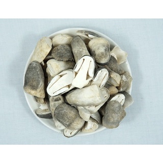 Nấm rơm sấy lạnh-fresh