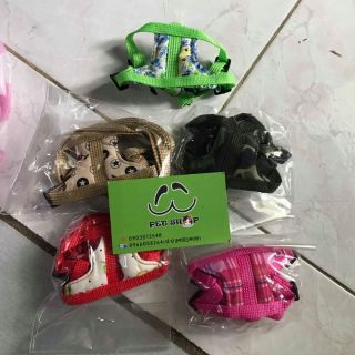 Dây dắt SÓC BẮC MỸ