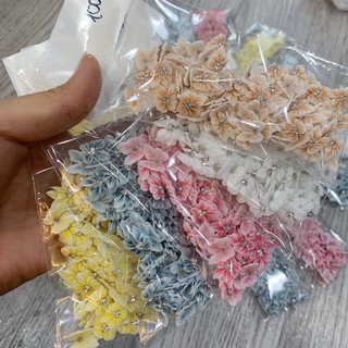 Hoa bột nail ( sỉ lẻ sll )