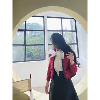 Áo sơmi organza ruby cao cấp