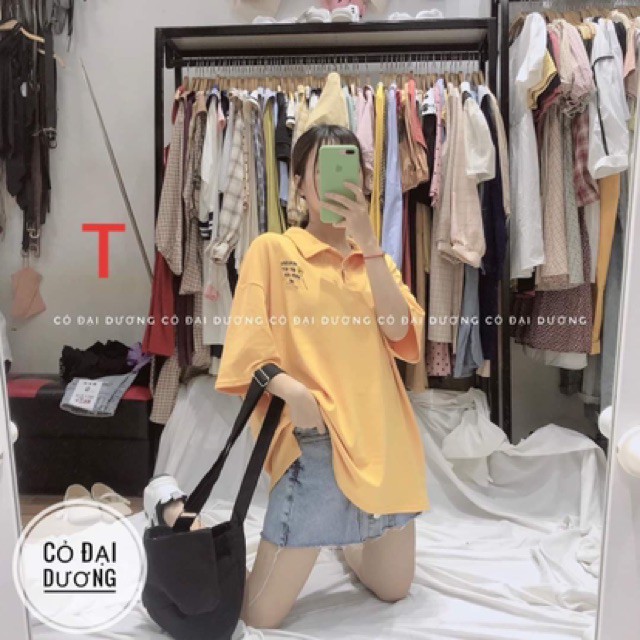 Áo polo chữ hoa TT12