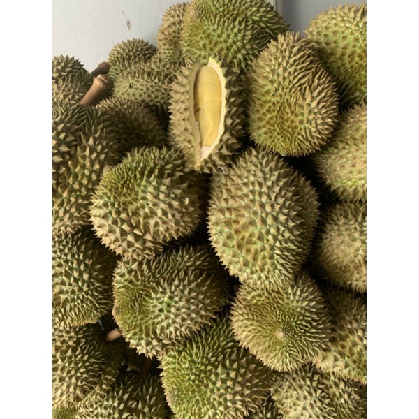 1kg Cơm Sầu Riêng Thái Monthong Miền Tây