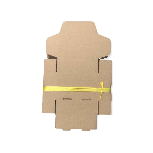 ECOBOX - combo 100 hộp carton nắp gài size 12x8x4