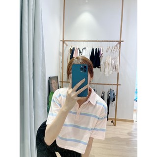 Áo polo Croptop sơ mi