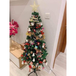 Cây Thông Noel