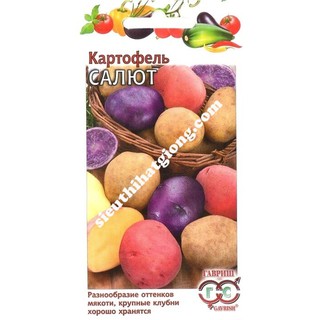 Hạt Giống Khoai Tây Nhiều Màu (0.025g)