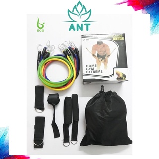 Dây Ngũ Sắc Kháng Lực Tập Gym Full Body Bộ 5 Dây Bản Móc To Chắc Chắn Đầy Đủ Phụ Kiện Hỗ Trợ NGUSAC01