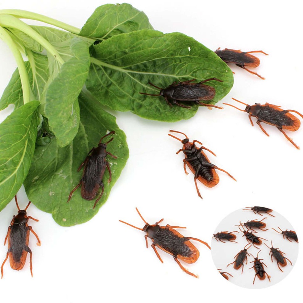 Đồ chơi con gián độc đáo - Đồ chơi mô phỏng động vật cho bé