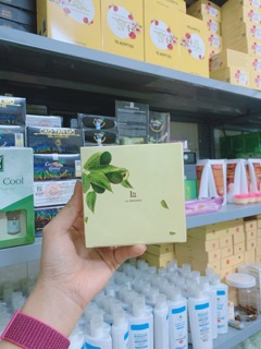 Body lá kem bơ