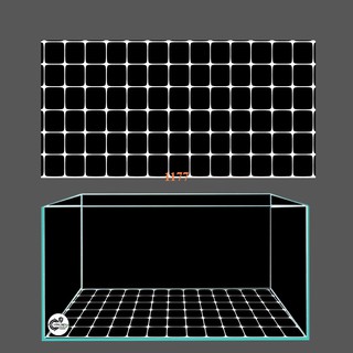 Tranh dán hồ cá 3d , hồ cá rồng , la hán , cá dĩa …