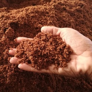 Mụn xơ dừa - gói 1kg