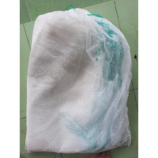 Túi bao mít 50×70 (50 cái)