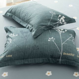 Cotton Poly Bộ Chăn Ga Gối Cây Xám