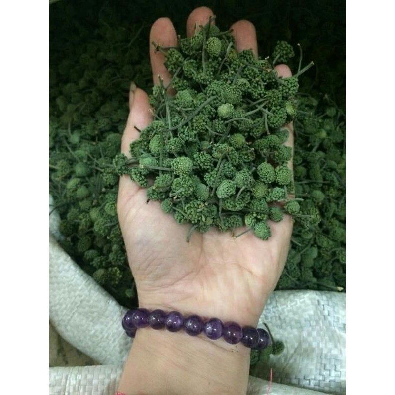 Sỉ giá gốc nụ hoa tam thất 100g - 200g - 300g