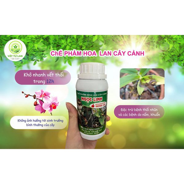 Chế phẩm đặc trị thúi nhũn và khô vết thối trong 12h Ngọc Linh -250ml