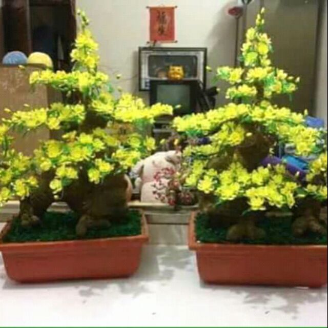 Hoa đá pha lê